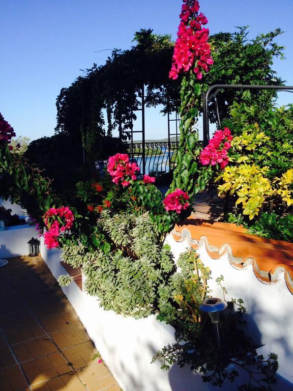 Apartments Hortenzija Maslinica Dış mekan fotoğraf